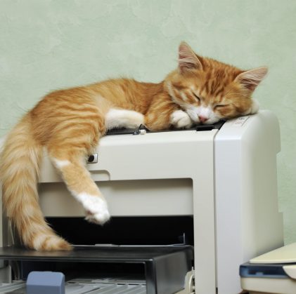 ginger kitten sleeping on the printer